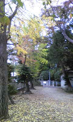 131115_132929.jpg
