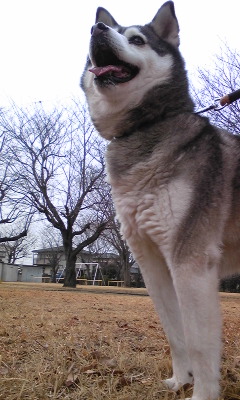 140203_143304.jpg