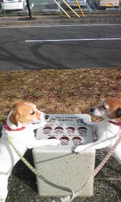 140218_092032.jpg