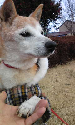 140307_141138.jpg