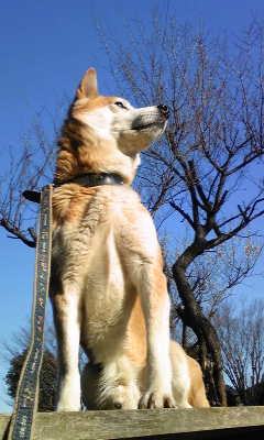 140308_073235.jpg