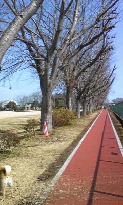 140309_104620.jpg
