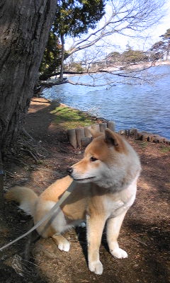 140324_142541.jpg