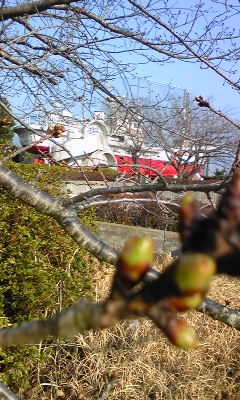 140328_155636.jpg