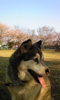 140411_155946.jpg