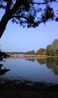 140503_064611.jpg