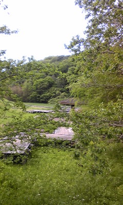 140505_085223.jpg