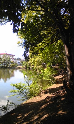140517_084308.jpg