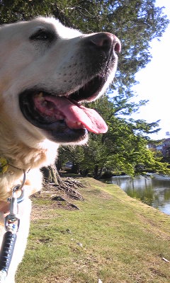 140517_163846.jpg