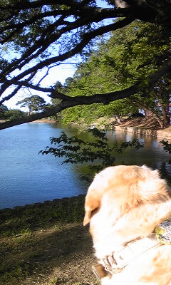 140517_164452.jpg