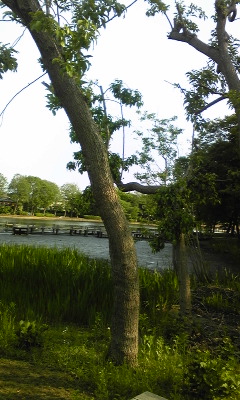 140524_160827.jpg