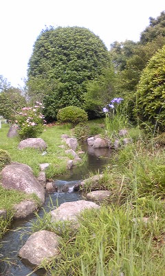 140610_144433.jpg