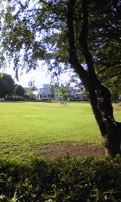 140705_164653.jpg