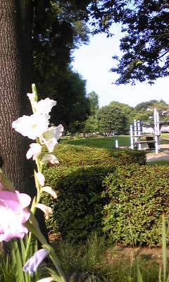 140727_071142.jpg