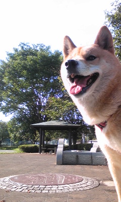 140912_143858.jpg