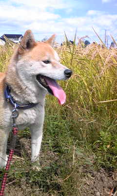 140926_100836.jpg