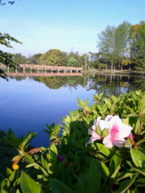 DSC_1110.JPG