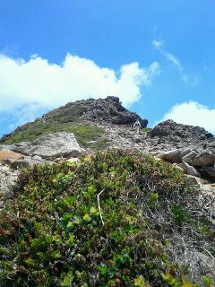 DSC_1548.JPG