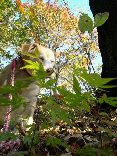 DSC_7243.JPG